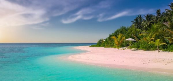 Panorama: tropischer Strand mit Palmen und Sonnenschirm