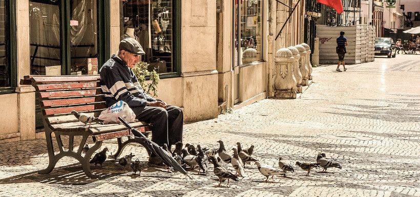 Alter Mann füttert Tauben auf Bank sitzend