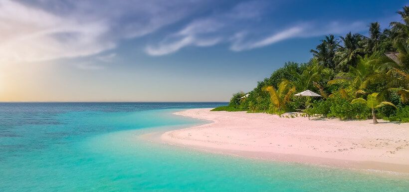 Panorama: tropischer Strand mit Palmen und Sonnenschirm